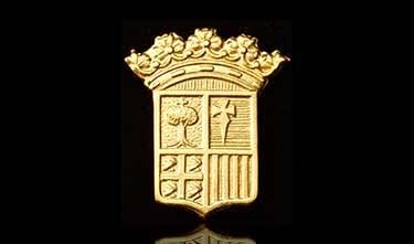 Pin Escudo de Aragón